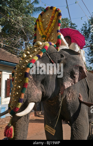 Éléphant à Varkala Kerala Inde festival du temple Banque D'Images