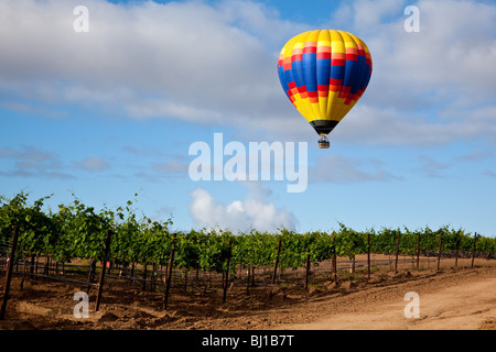 Hot air ballon flottant sur vigne raisin Banque D'Images