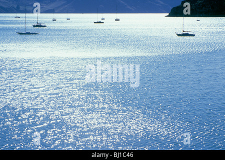 Silhouettes de voiliers ancrés dans une petite baie, la péninsule de Banks, région de Canterbury, île du Sud, Nouvelle-Zélande Banque D'Images