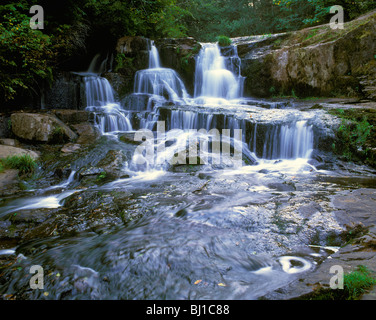 Alsea Falls Chutes Alsea, zone de loisirs, sur la branche sud de la rivière l'Alsea, Oregon, nord-ouest du Pacifique, États-Unis Banque D'Images
