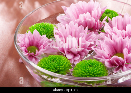 Spa nature morte Banque D'Images