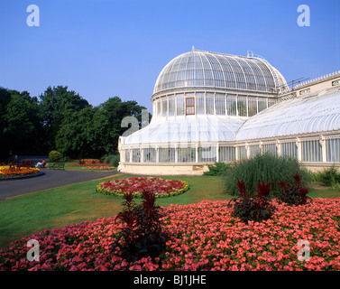 La Palm House, Belfast Botanical Gardens, Botanic Avenue, Belfast, comté d'Antrim, en Irlande du Nord, Royaume-Uni Banque D'Images