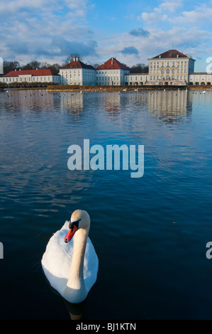 Cygne au palais Nymphenburg à Munich, Allemagne Banque D'Images