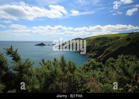 Voir à partir de la côte près de Coleton Fishacre à vers Dartmouth Banque D'Images