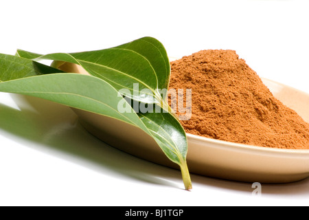 Close-up de la cannelle et de feuilles vert frais Banque D'Images