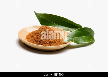 Close-up de la cannelle et de feuilles vert frais Banque D'Images
