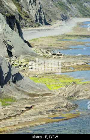 Costa Vasca bei Zumaia - Costa Vasca près de Zumaia 36 Banque D'Images