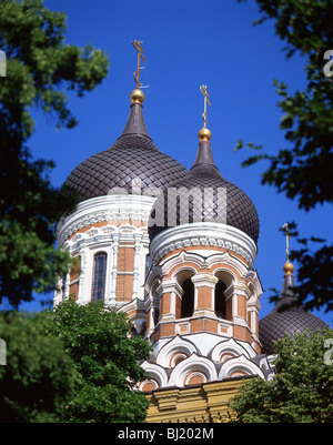 La cathédrale Alexandre Nevski, la colline de Toompea, Vieille Ville, Tallinn, Tartu County, République d'Estonie Banque D'Images