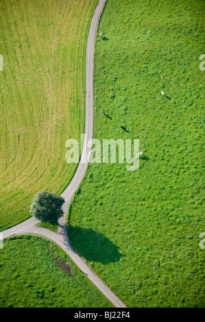 Route de campagne et des champs Banque D'Images