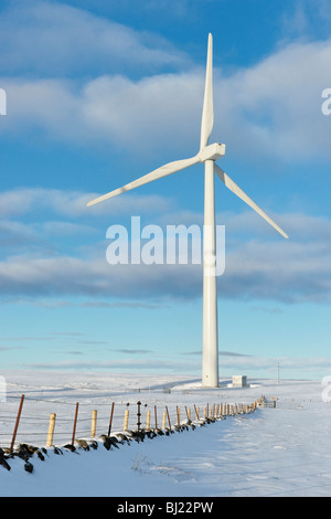 Knowes vert d'éoliennes à monts Ochil, Perth et Kinross, Scotland, UK. Banque D'Images