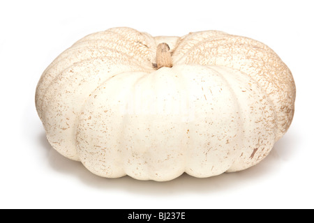 Citrouille blanc isolé sur fond blanc un studio. Banque D'Images