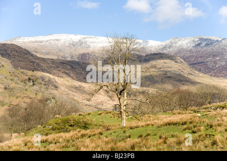 La chaîne de montagnes Glyder de Nant Gwynant dans la région de Snowdonia, le Nord du Pays de Galles Banque D'Images