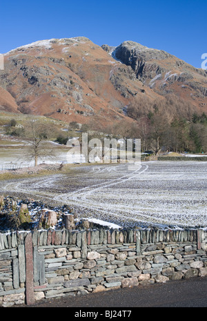 Spedding Crag avec champs givré et Lakeland muret de pierres sèches près de Chapel Stile Lake District Cumbria England Royaume-Uni UK Banque D'Images