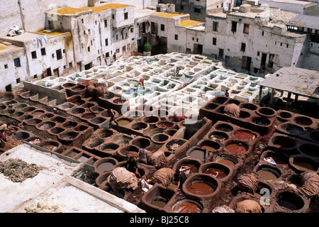 Maroc, Fès, tannerie Chouara Banque D'Images