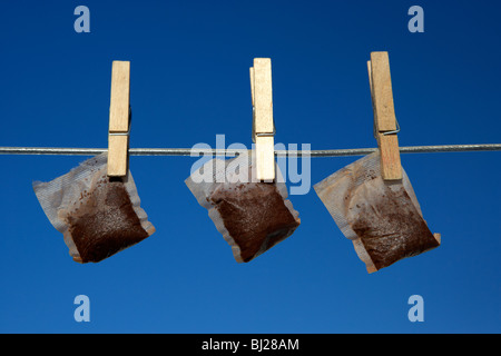 Trois sachets humides accrochés sur une ligne de lavage avec ciel bleu Banque D'Images