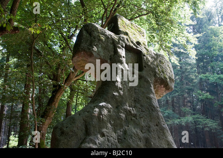 Frabillen, croix de pierre préhistoriques en forêt, Ernzen Plateau, Eifel, Rhénanie-Palatinat, Allemagne Banque D'Images