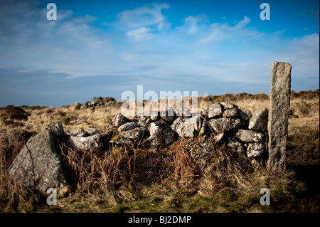 Cornish paysage de landes, champs et arbres altérés à l'ancien village de Bodrifty, près de Penzance, Cornwall Banque D'Images