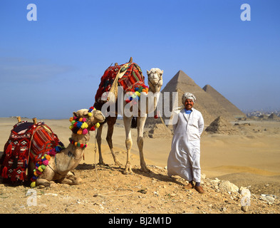 Chamelier avec des chameaux, les grandes pyramides de Gizeh, Gizeh, gouvernorat de Guizeh, République de l'Égypte Banque D'Images