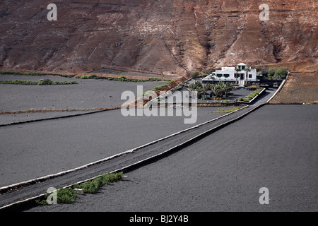 Maison blanche près de Puerto del Carmen, Lanzarote, îles Canaries, Espagne Banque D'Images