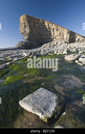 La côte du Glamorgan à Nash Point sur une journée ensoleillée montrant les falaises calcaires Banque D'Images