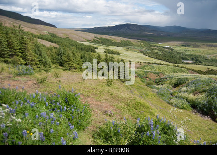 Mt. Esja, au sud-ouest de l'Islande Banque D'Images