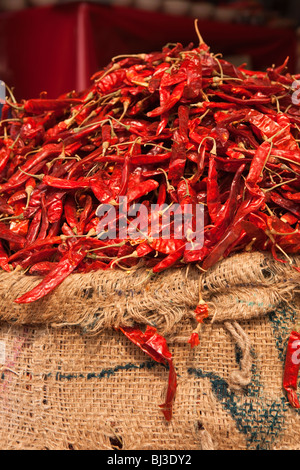 L'Inde, le Kerala, Calicut, Kozhikode, Big Bazar, sac de piments rouges séchés sur l'affichage dans la boutique de grossiste - détail Banque D'Images