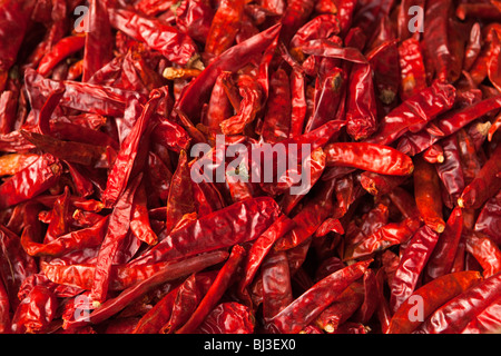 L'Inde, le Kerala, Calicut, Kozhikode, Halwa Bazar, sac de piments rouges séchés sur l'affichage dans la boutique de grossiste - détail Banque D'Images