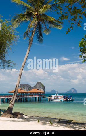 Jetée sur un palm beach, Ko Hai ou l'île de Koh Ngai, Trang, Thaïlande, Asie Banque D'Images