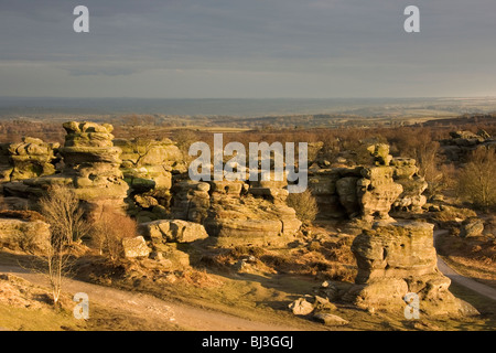 Les éléments ont sculpté d'étranges formations rocheuses dans la meule à grain Brimham Rocks dans Nidderdale, Yorkshire du Nord Banque D'Images