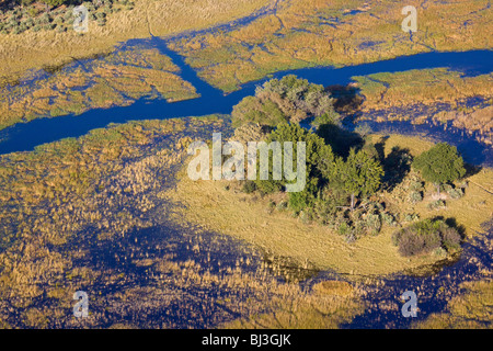 Vue aérienne, Okavango Delta, Botswana, Africa Banque D'Images