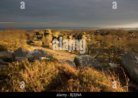 Les éléments ont sculpté d'étranges formations rocheuses dans la meule à grain Brimham Rocks dans Nidderdale, Yorkshire du Nord Banque D'Images