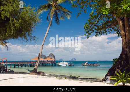 Jetée sur un palm beach, Ko Hai ou l'île de Koh Ngai, Trang, Thaïlande, Asie Banque D'Images