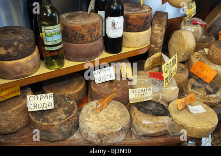 Fromage de brebis dans une boutique charcuterie, Cacioteca, Lucca, Toscane, Italie, Europe Banque D'Images