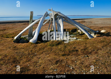 Maison historique Inuit de la culture Thulé faite d'os de baleines, Resolute Bay, l'île Cornwallis, Passage du Nord-Ouest, Nunavu Banque D'Images