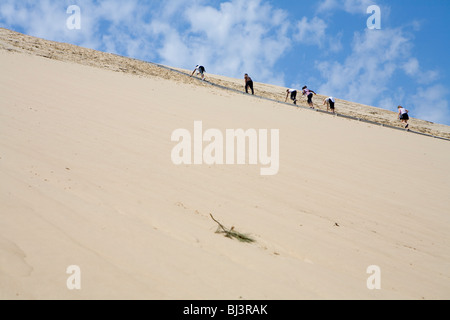 Escalade sur la Dune du Pilat, les dunes de sable la plus haute d'Europe Banque D'Images