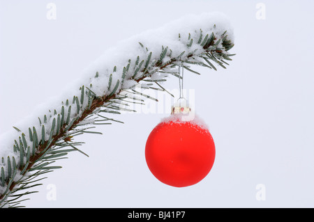 Babiole de verre rouge sur une branche de pin couvert de neige Banque D'Images