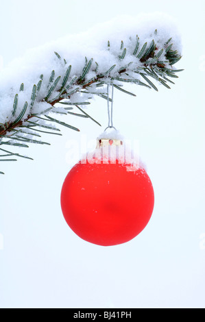 Babiole de verre rouge sur une branche de pin couvert de neige Banque D'Images