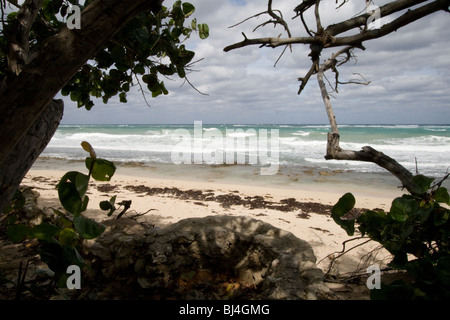 Jibacoa beach,‎ Cuba Banque D'Images