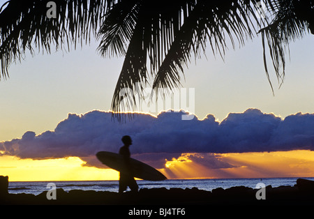 Un internaute tenant une planche de surf est découpé sur le coucher du soleil à célèbre plage de Waikiki Honolulu Hawaii USA au coucher du soleil Banque D'Images