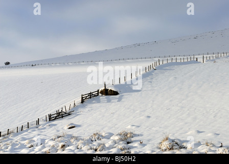 Les champs et les collines couvertes de neige de Glenbuchat dans Aberdeenshire Ecosse partie du Parc National de Cairngorms Banque D'Images