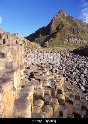 Le Giant's Causeway, comté d'Antrim, en Irlande du Nord, Royaume-Uni Banque D'Images