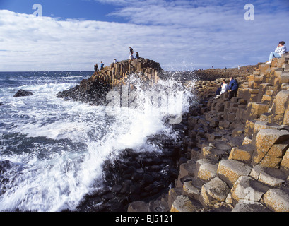 Le Giant's Causeway, comté d'Antrim, en Irlande du Nord, Royaume-Uni Banque D'Images