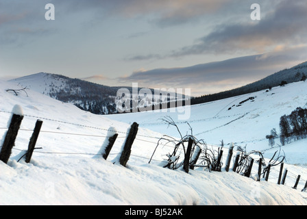 Hiver froid et ciel au-dessus de collines couvertes de neige et de champs dans Glenbuchat partie du Parc National de Cairngorms, en Écosse Banque D'Images