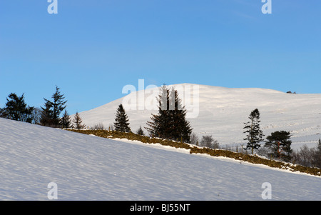 Ciel bleu d'hiver au-dessus de collines couvertes de champs de neige et mur de pierre en un Scottish Highland Glen Banque D'Images