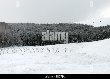 Les champs et les collines couvertes de neige de Glenbuchat dans Aberdeenshire Ecosse partie du Parc National de Cairngorms Banque D'Images