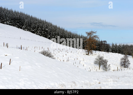 Les champs et les collines couvertes de neige de Glenbuchat dans Aberdeenshire Ecosse partie du Parc National de Cairngorms Banque D'Images