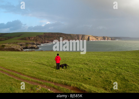 La promenade du chien sur la falaise au-dessus de Barafundle Bay, Pembrokeshire, Pays de Galles, Royaume-Uni Banque D'Images