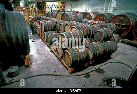 Tain-Tournon, FRANCE - anciens fûts de vin en bois, Cave à vins de Delas Freres dans la région des Côtes-de-Rhône Banque D'Images