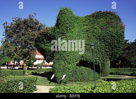 Topiary en forme d'éléphants Banque D'Images