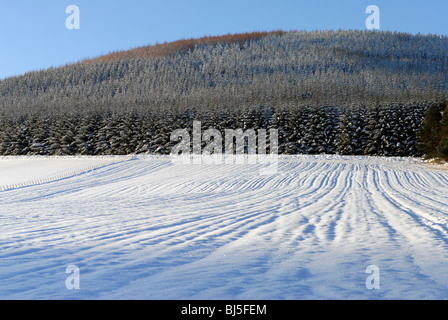 Les champs et les collines couvertes de neige de Glenbuchat dans Aberdeenshire Ecosse partie du Parc National de Cairngorms Banque D'Images